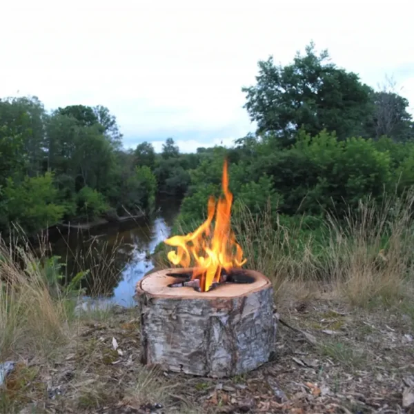 Swedish Birch Torch -Bonfire